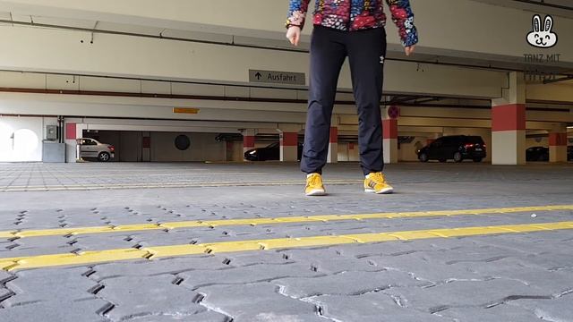 ТАНЦЫ НОГАМИ Уроки Танцев Для Начинающих || Tanz Mit Hase - ШАФЛ ТАНЕЦ || Урок 6