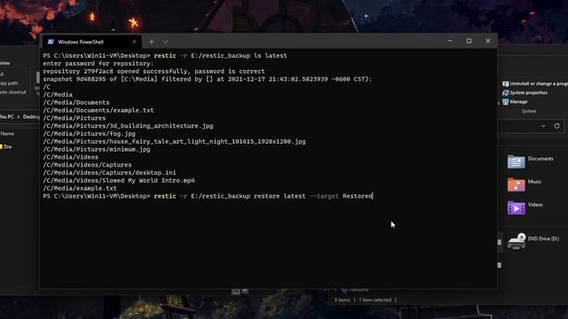 Backup With Restic for Windows смотреть онлайн