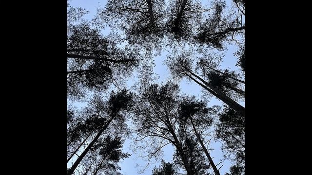 Волга от истока до устья. Часть 1 смотреть онлайн