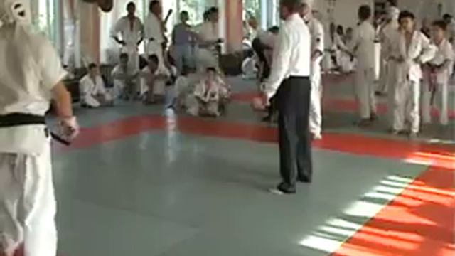 ARASHI KARATE 
