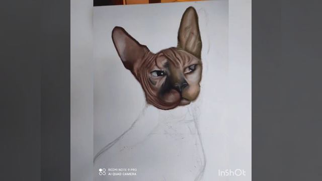 28 juillet 2022 смотреть онлайн