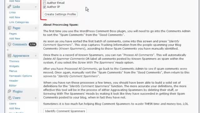 WordPress Anti-Spam Plugin смотреть онлайн