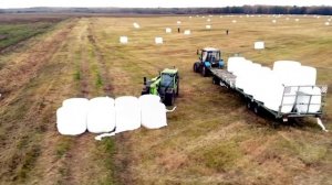 Телескопический погрузчик MERLO TURBOFARMER. Работа в поле, погрузка тюков с сеном.