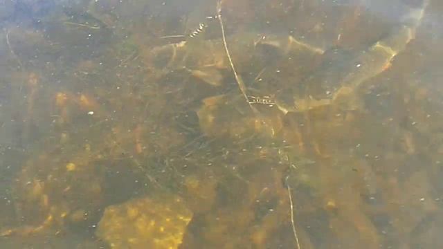 зольное смотреть онлайн