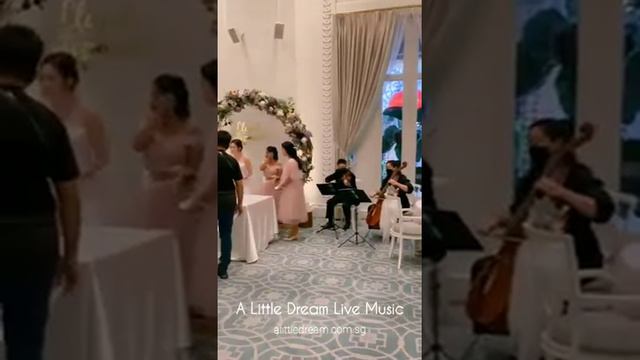 Singapore String Duo (Violin & Cello) - Classical / Pop / Jazz (Wedding / Solemnisation / Corporate смотреть онлайн