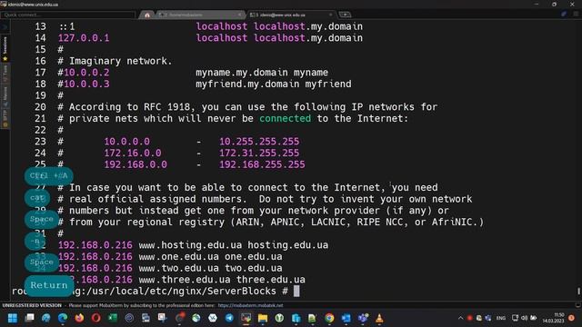 FreeBSD 13.1 Nginx Server Blocks [Virtual Hosts] смотреть онлайн