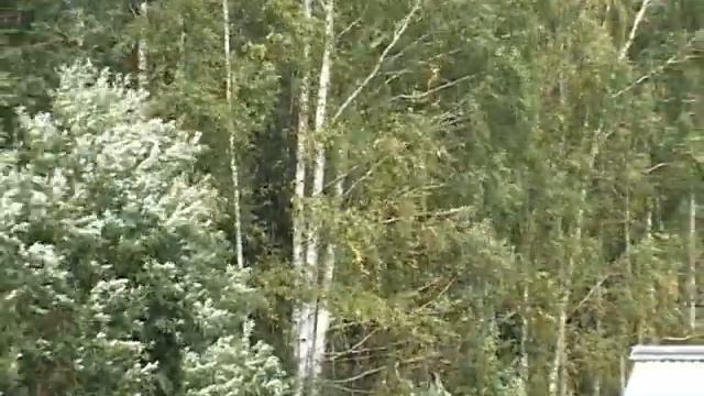 Ролик Военные сборы 2008 1(4) смотреть онлайн