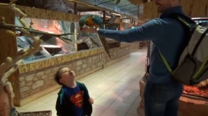 Киев День#6 идем в Экзоленд подиум ТРЦ ДримТаун прыгаем на батуте zoo in mall fa