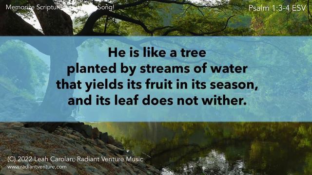 He is Like a Tree (Psalm 1:3-4 ESV) - Memorize Scripture Easily With Song! [piano/guitar chords] смотреть онлайн