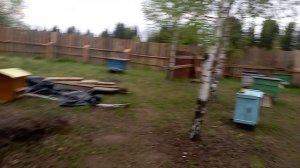 Деревенские будни....