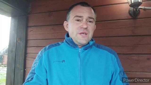 отлов собак смотреть онлайн