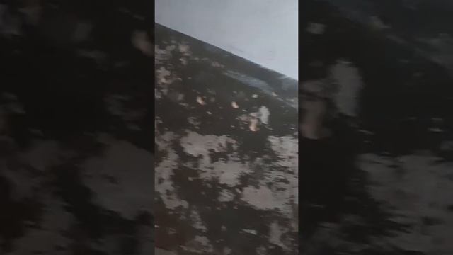 Разруха и беспредел смотреть онлайн