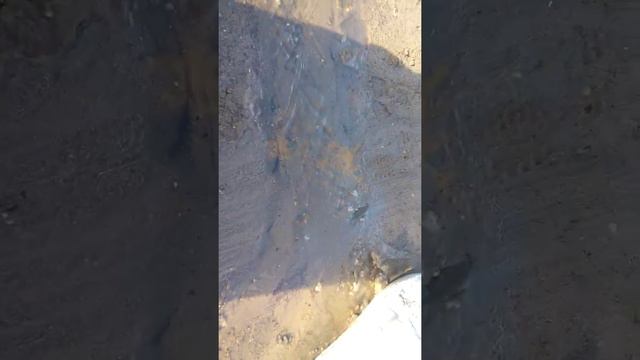 Бескарагай ул 1 мая смотреть онлайн