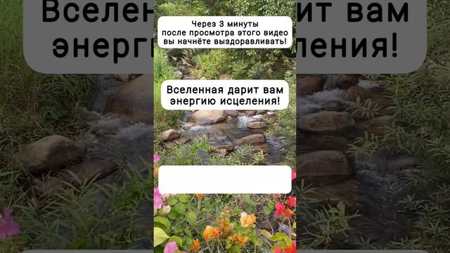 Через 3 минуты после просмотра этого видео вы начнёте выздоравливать?#аффирмации #полезныесоветы