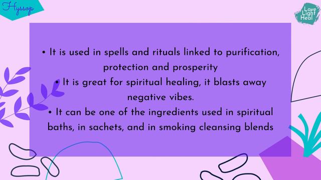 Hyssop - Medicinal and Magickal Properties смотреть онлайн