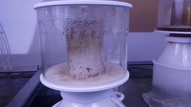 Aquaforest AF160 Skimmer смотреть онлайн