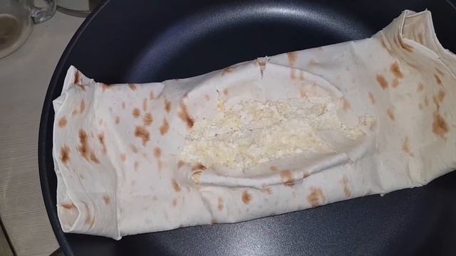 Животные в Зоопарках