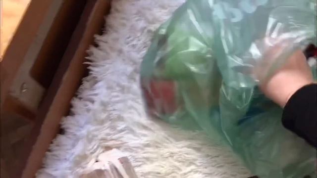 ПЕРЕЕЗД В ОБЩЕЖИТИЕ / ПЕРВЫЙ ДЕНЬ НОВОЙ ЖИЗНИ? / ПОКУПКИ В ОБЩАГУ #ВИДЕОДНЕВНИК смотреть онлайн