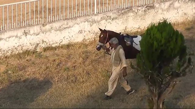 RAWALPINDI RACE CLUB 20.11.2021 смотреть онлайн