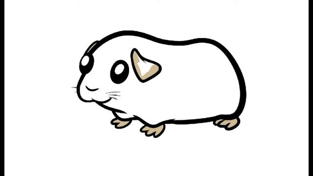 Как нарисовать Морскую свинку. Раскраска Морская свинка для детей смотреть онлайн