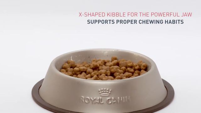 Royal Canin German Shephered Puppy Dry Dog Food смотреть онлайн