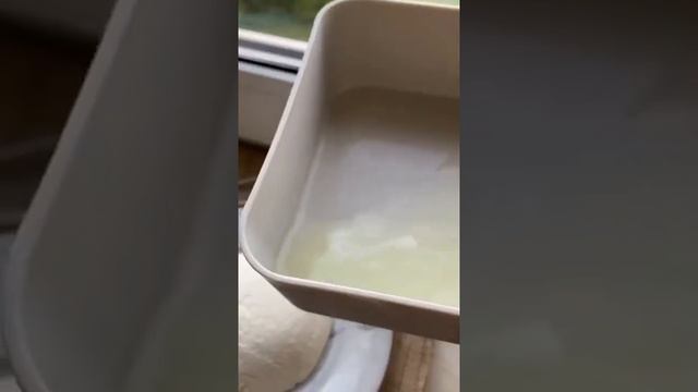 Домашний сыр филадельфия. Всегда хотел научиться готовить его дома.