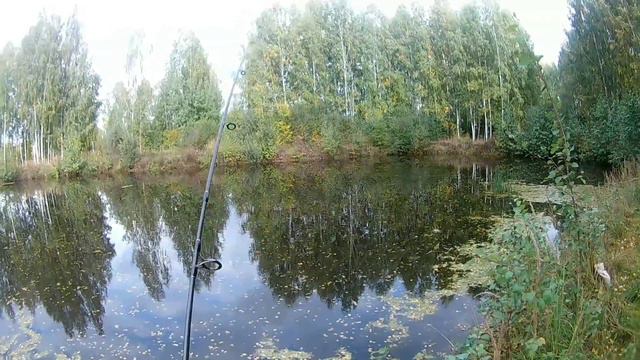 злые щупаки в канаве смотреть онлайн