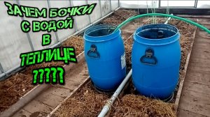 Зачем весной бочки с водой в теплице-Why do you need barrels of water in the greenhouse in the sprin