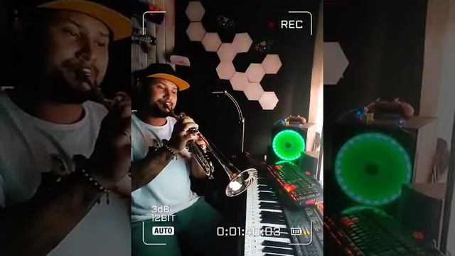 VIVO PER LEI ( COVER TROMPETA 🎺) смотреть онлайн