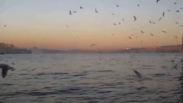 Жоголгон жылдар смотреть онлайн