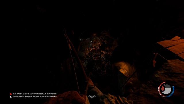 The Forest №3 смотреть онлайн