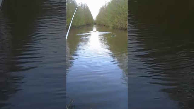 lodka zanetowa pierwsze plywanie смотреть онлайн