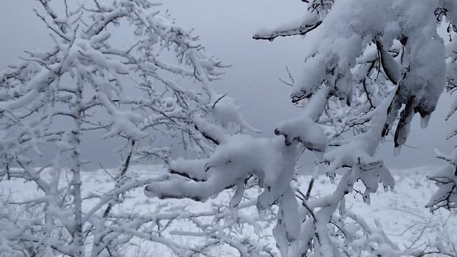 Зимняя сказка под музыку. Песнь снега и ветра смотреть онлайн