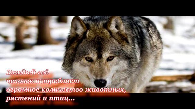 донской край смотреть онлайн