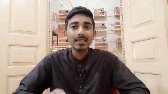 Start Bird Business with 30 thousand investment | 2 Most Profitable Birds For 2024 | Breeding tips. смотреть онлайн