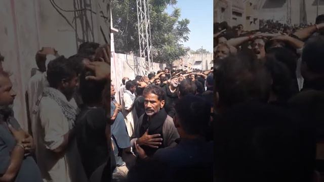 10 muharam mukkan shahjewna 2017 смотреть онлайн