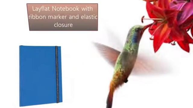 B5 Paseo Notebook Outremer | Organiser World смотреть онлайн