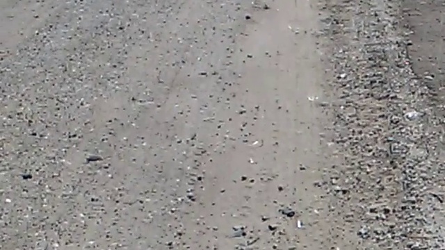 SUZUKI SEPIA ZZ  валит как надо )))