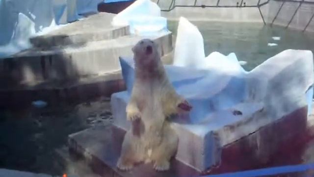 Копия видео Каюшка смотреть онлайн