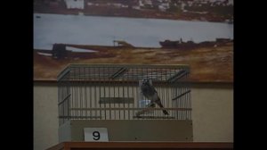 1 место на конкурсе 18.12.21 г.