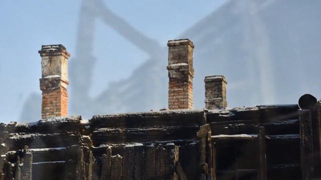 Кошка осталась одна после пожара...