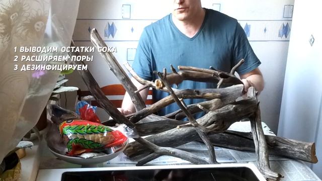 Мочилово обработка коряг без варки (Processing driftwood without cooking) смотреть онлайн
