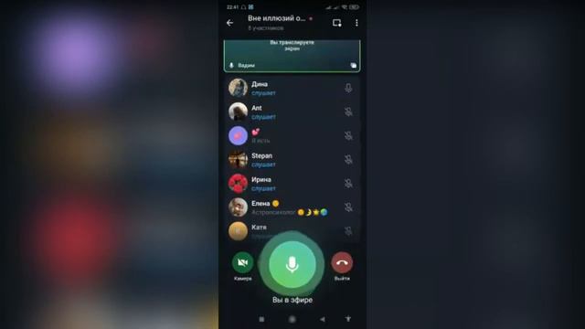 Самоисследование путь к пробуждению, аудио-встреча в Телеграм 1.07.2022 ведёт Vadim Tsyplakov смотреть онлайн