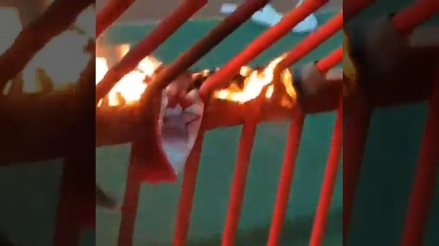 Сжигание роз звезды смотреть онлайн