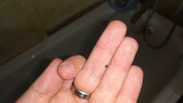 Строительные Отчеты