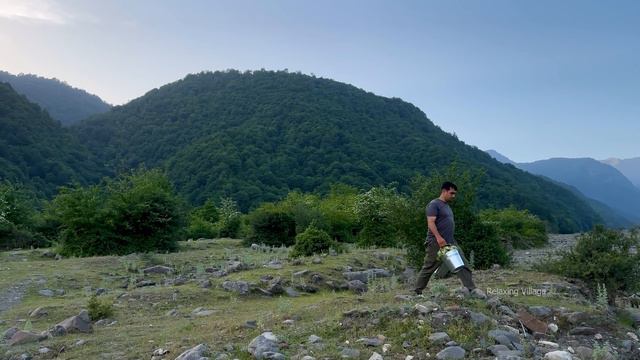 SHAKH PILAF | Cooking Best Rice Pilaf Recipe In Village | Shakh Plov  - The King Of Plilaf