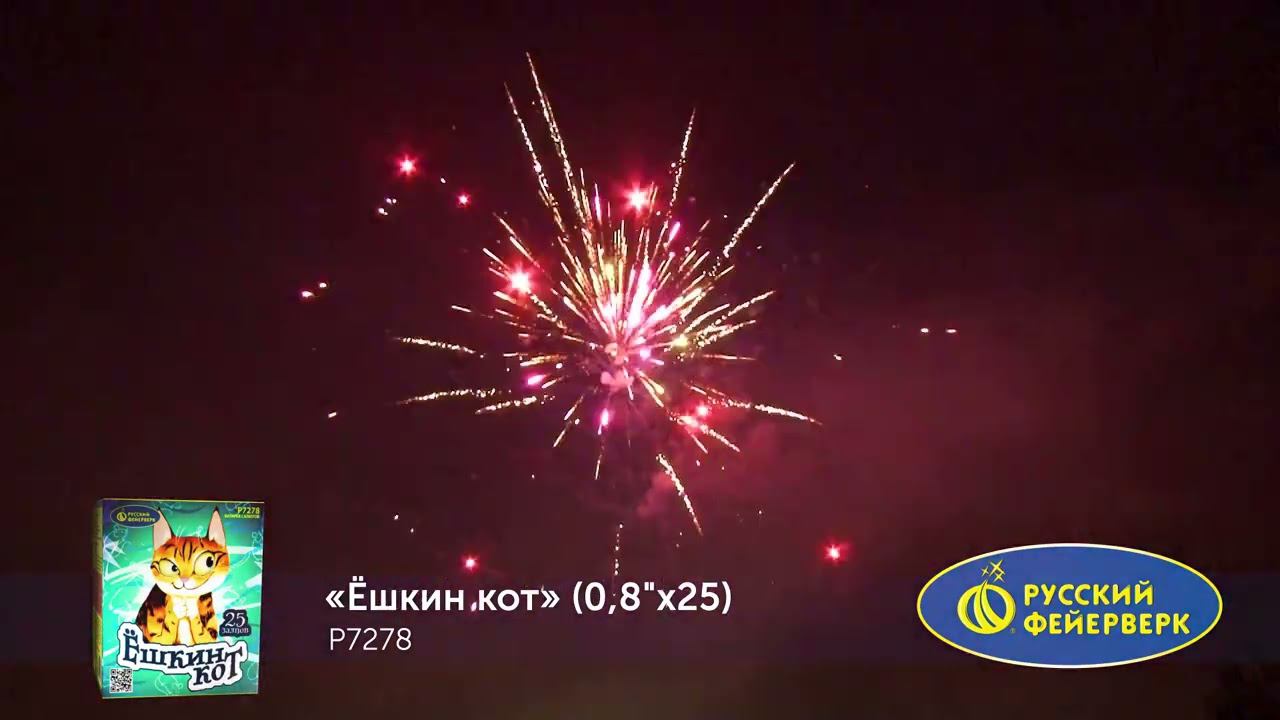 P7278 смотреть онлайн