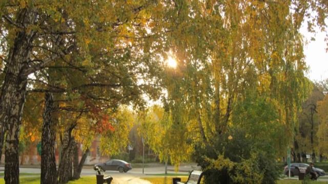 Березы Сибири смотреть онлайн