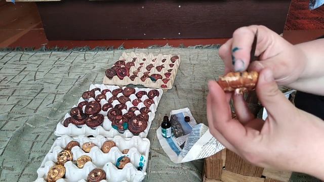 А как Ваши гладиолусы?? Проращивание и первая обработка. смотреть онлайн