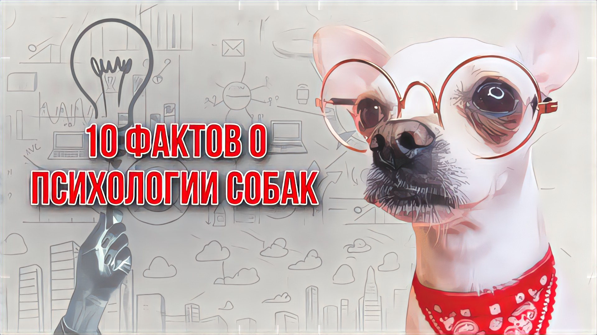 10 ФАКТОВ О ПСИХОЛОГИИ СОБАК смотреть онлайн